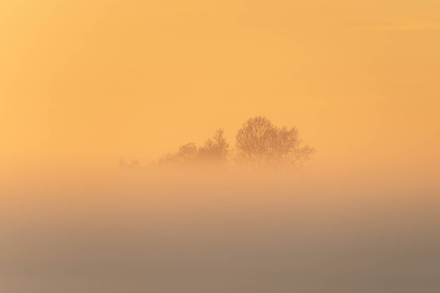 закат, минимализм, туман, сибирь, Екатерина Дубровская