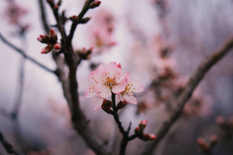 Spring time! фото превью