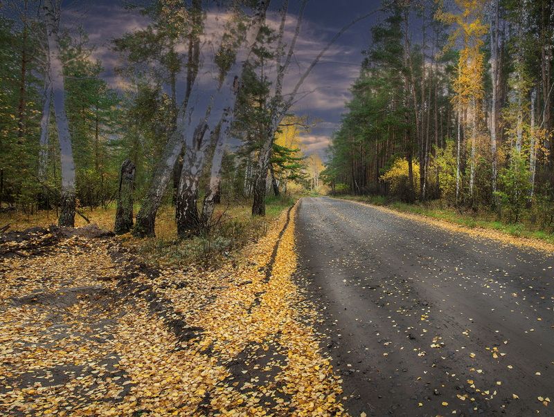 Зауралье фото превью