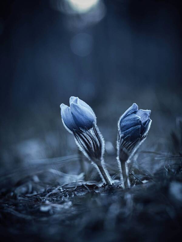 Вдвоём в тишине... фото превью