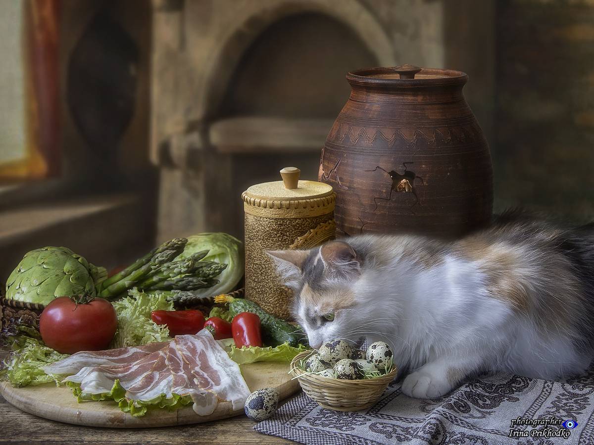 натюрморт, еда, кухня, стол, бекон, овощи, кошка, Приходько Ирина