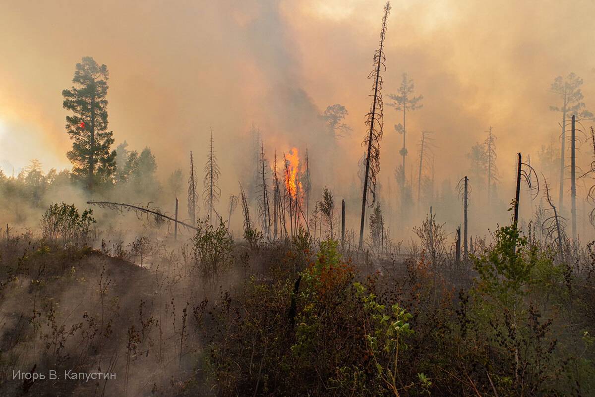 , Капустин Игорь