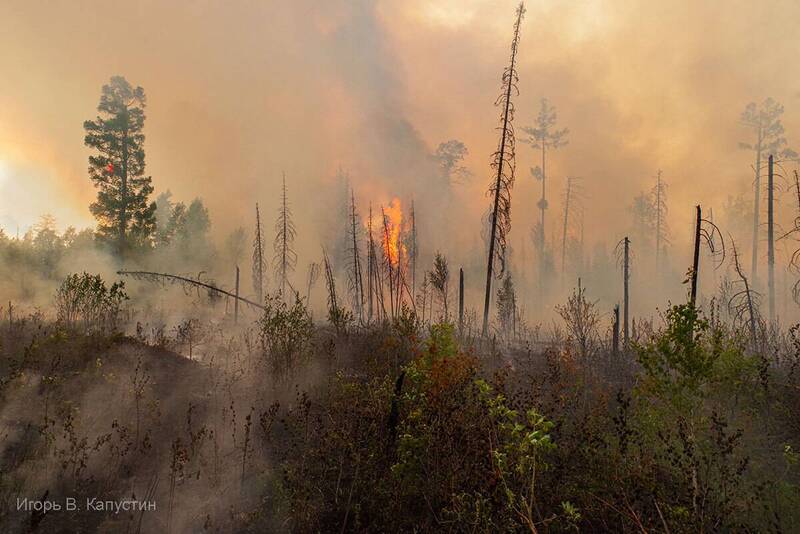 *** фото превью