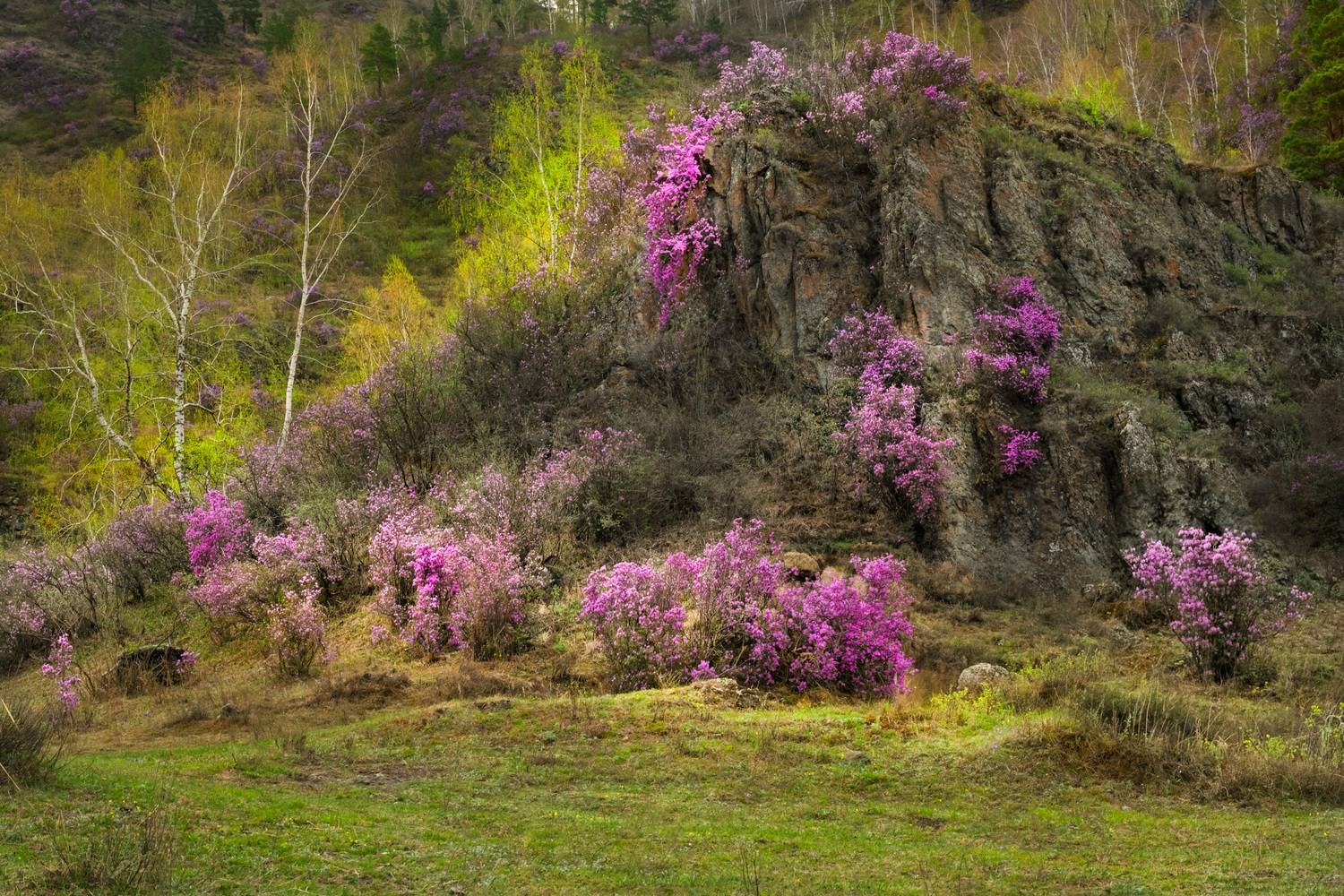 Фототуры с Владимиром Рябковым, topnature russpasibo magic_shots lov, Владимир Рябков