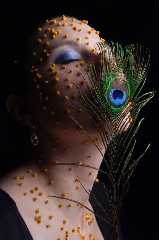 Мимоза и перо фото превью