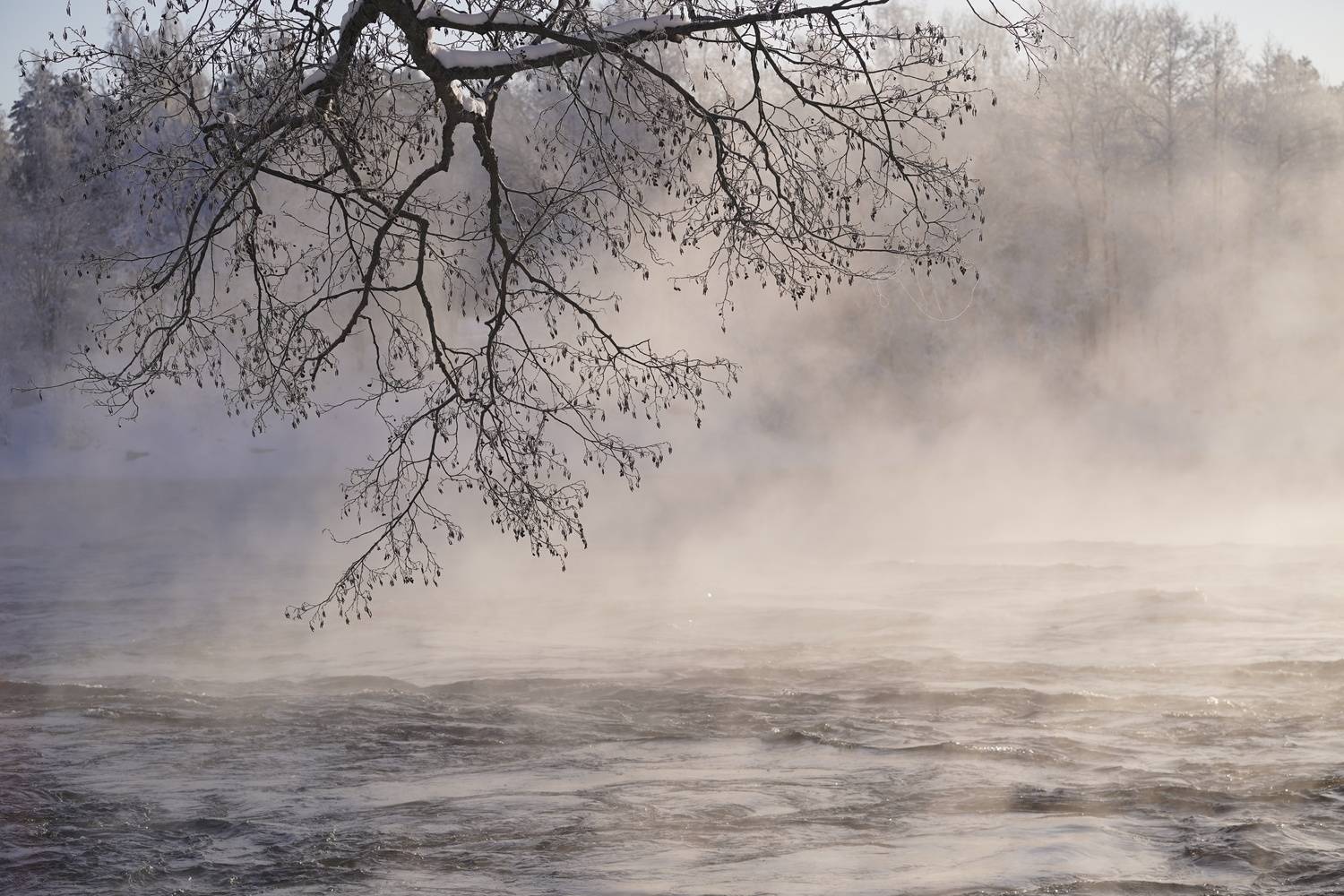 , Таланова Алёна