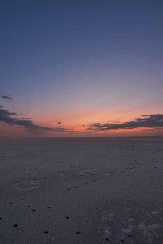 закатный Эльтон