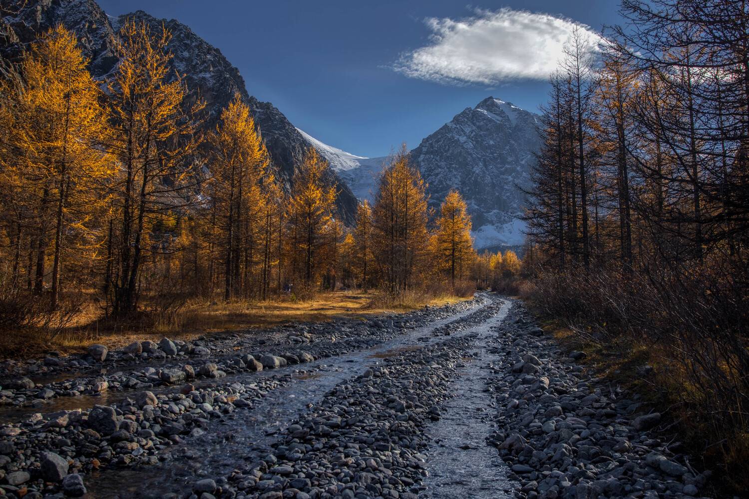 Россия, Осень, Горы, Алтай, Лес, Пейзаж, Пейзажная фотография, Elena Mogilevich