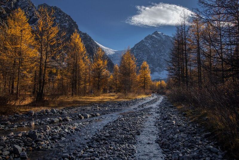 Россия, Осень, Горы, Алтай, Лес, Пейзаж, Пейзажная фотография  фото превью