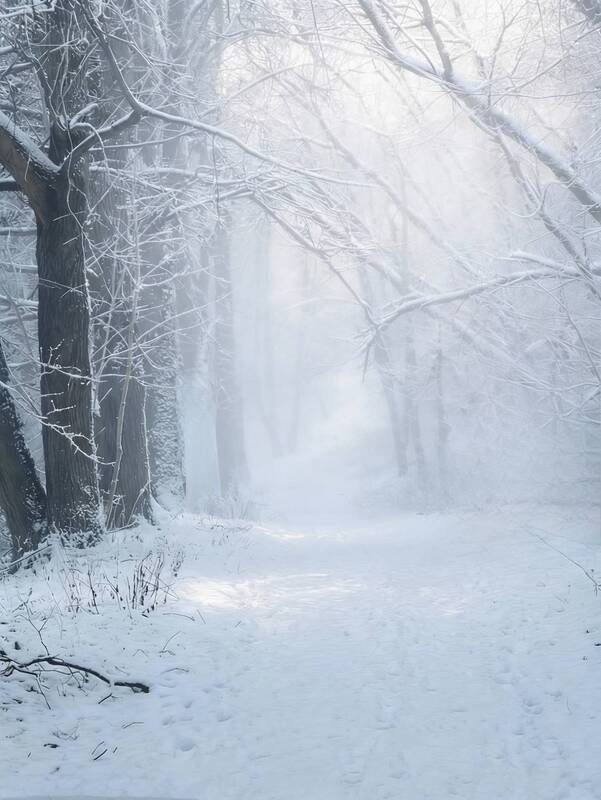 зима, winter, природа, nature, пейзаж, landscape, туман *** фото превью