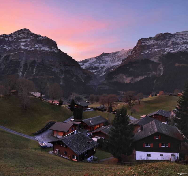 swiss Утро.. фото превью