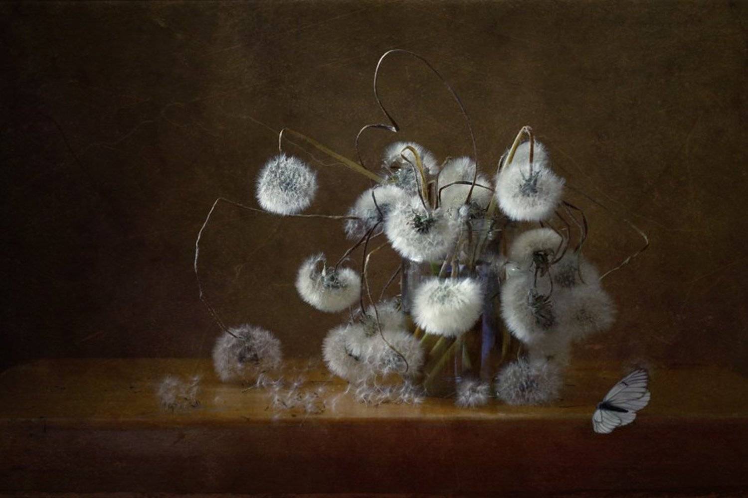 Бабочка, Июнь, Лето, Натюрморт, Одуванчики, Цветы, Курочкина Диана