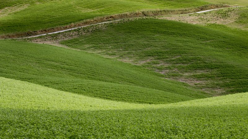 Green, I love you green фото превью