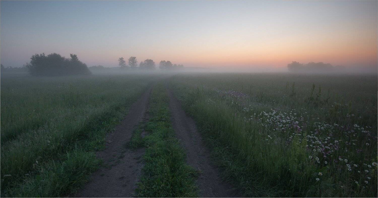 , Николай Шахманцир