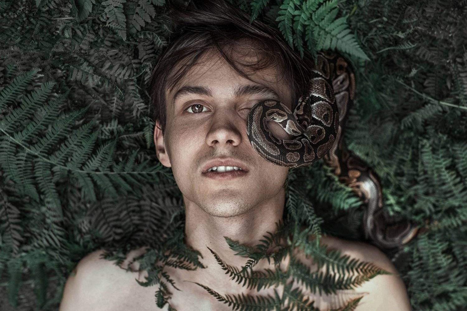 лес, змея, портрет, арт, сказка, Комарова Настя