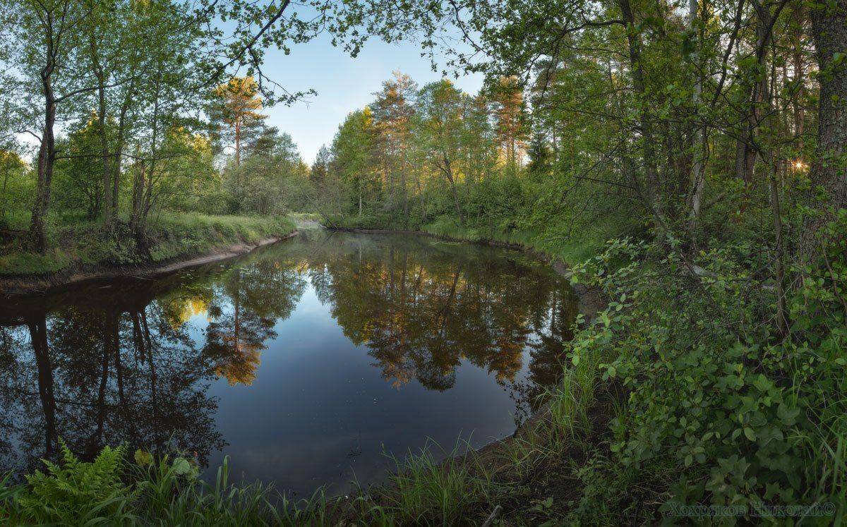 , Хохряков Николай