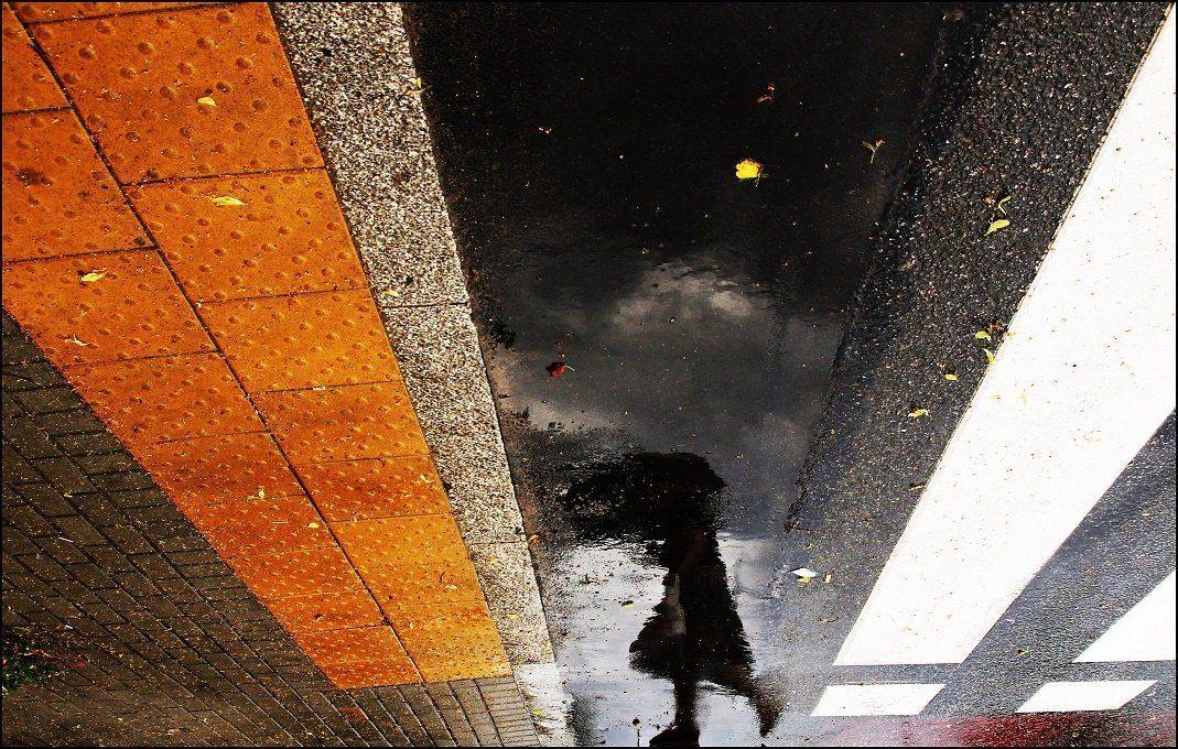 , Krzysztof Trojanowski