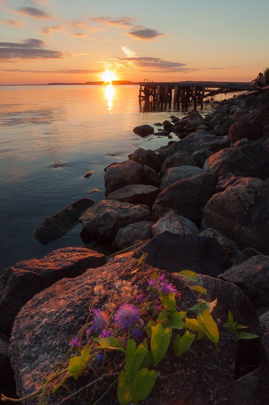 природа, Дубна, Московская область, закат, водохранилище Московское море фото превью