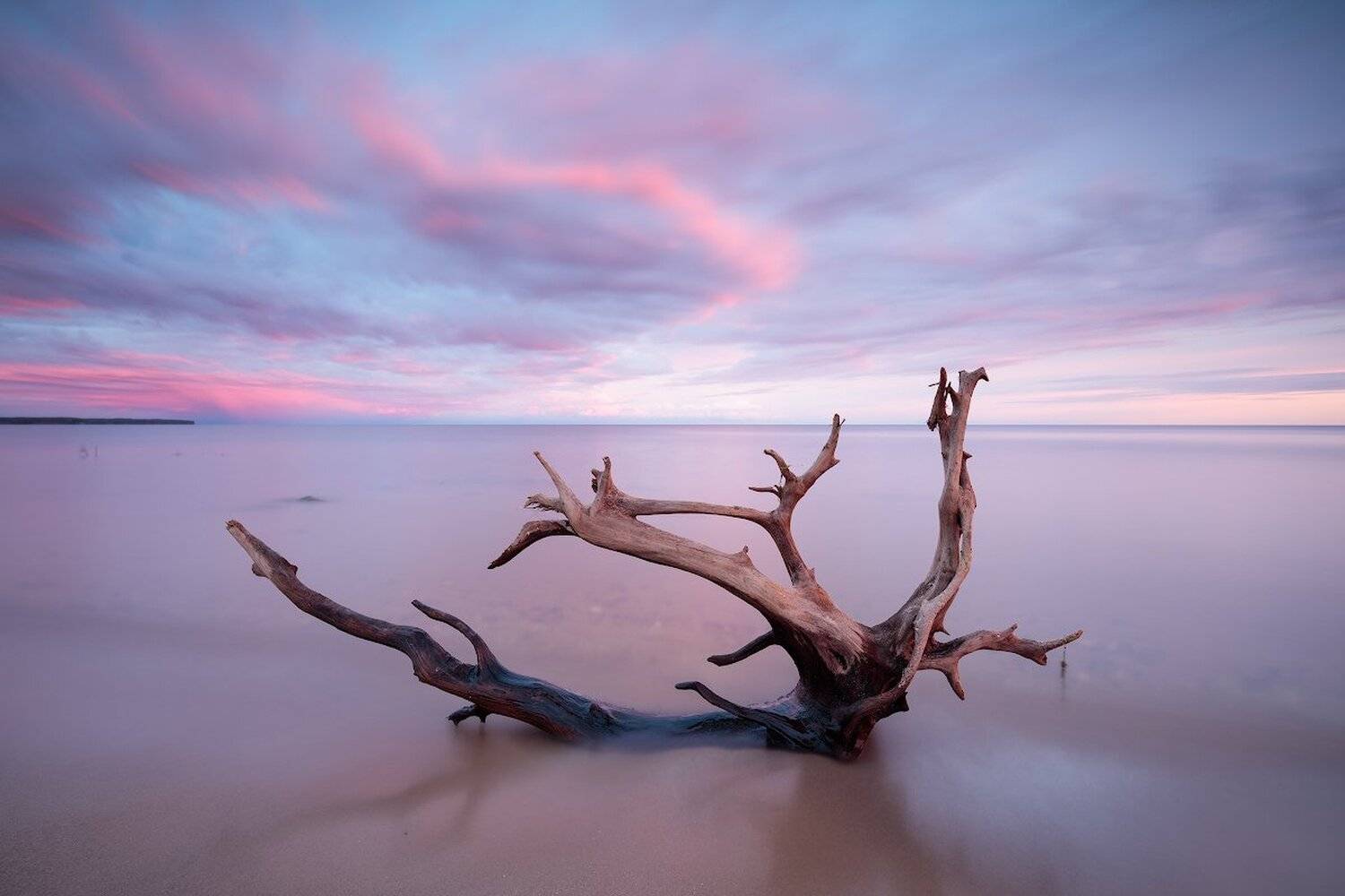 , Питенин Дмитрий