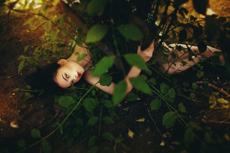 .lady under bush. фото превью