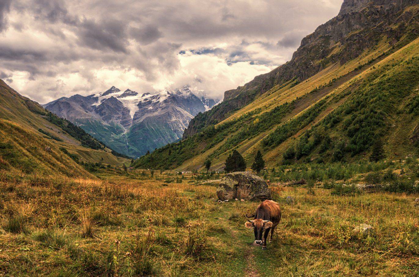 , Игорь Мелекесцев