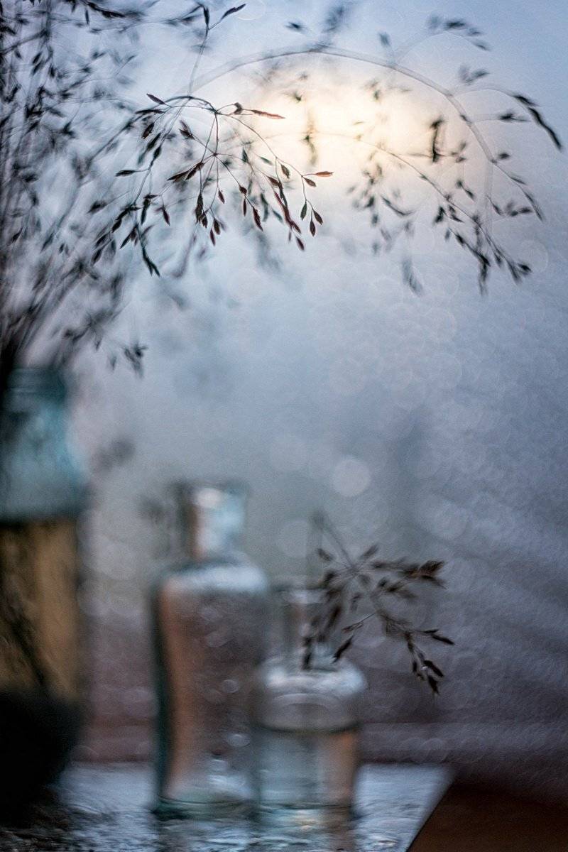 , Svoboda Andreeva