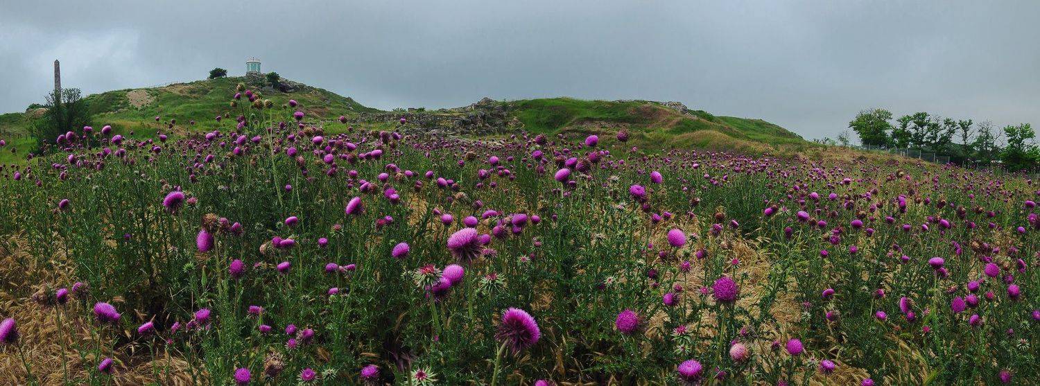 , Анатолий Щербак