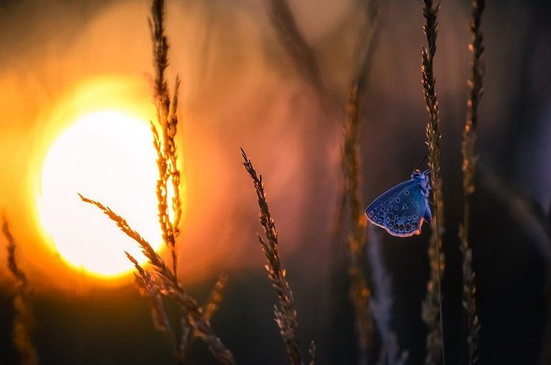 Тишина фото превью