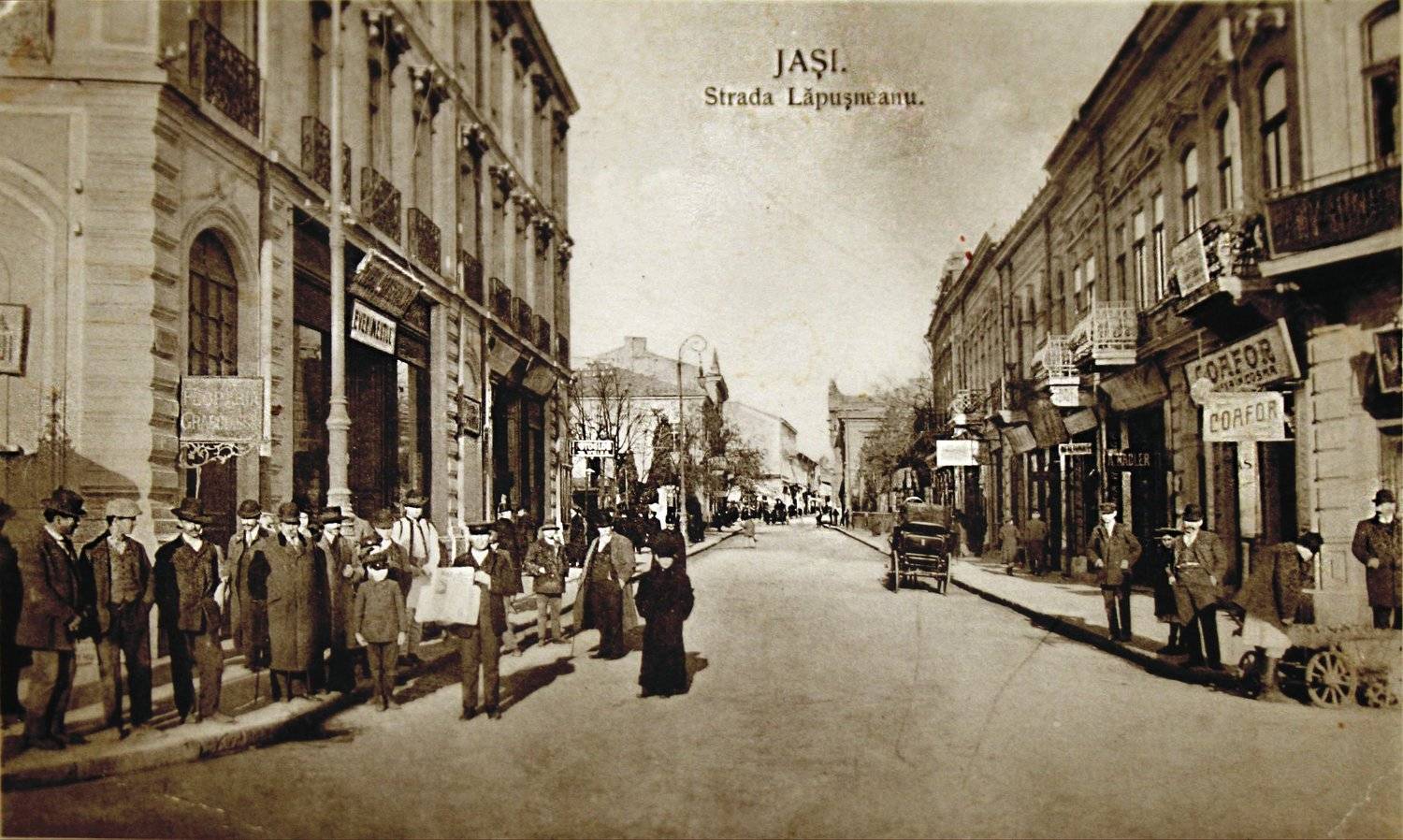 city, urban, Александр