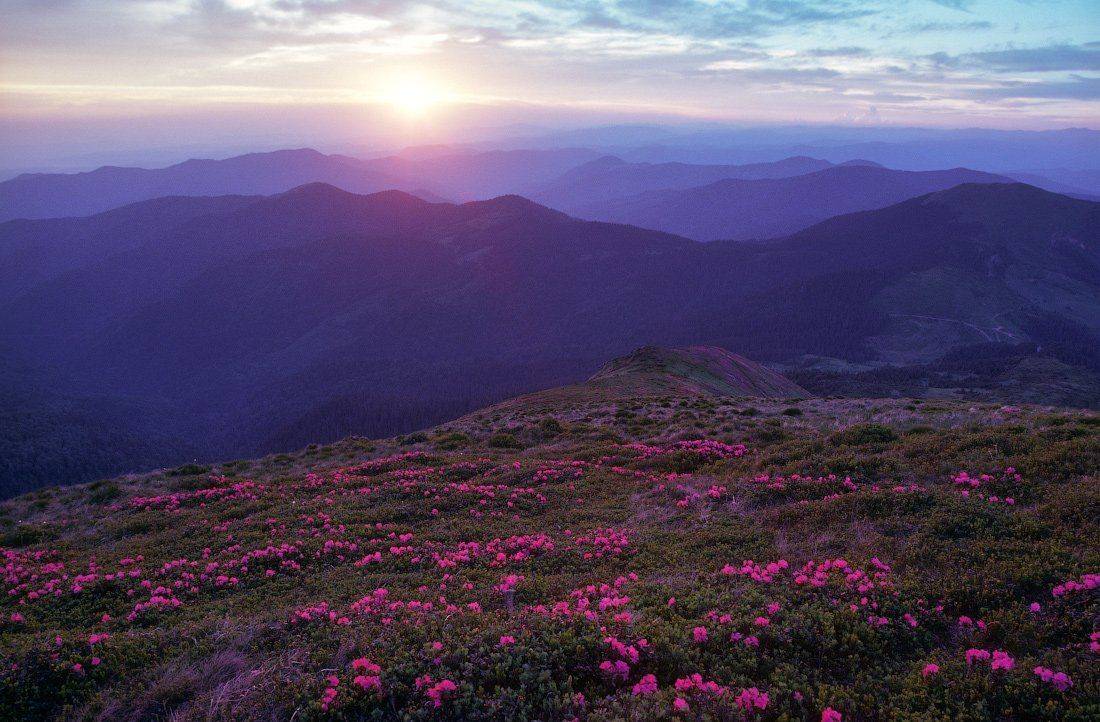 , Ярослав Тюрменко (Jaremi)