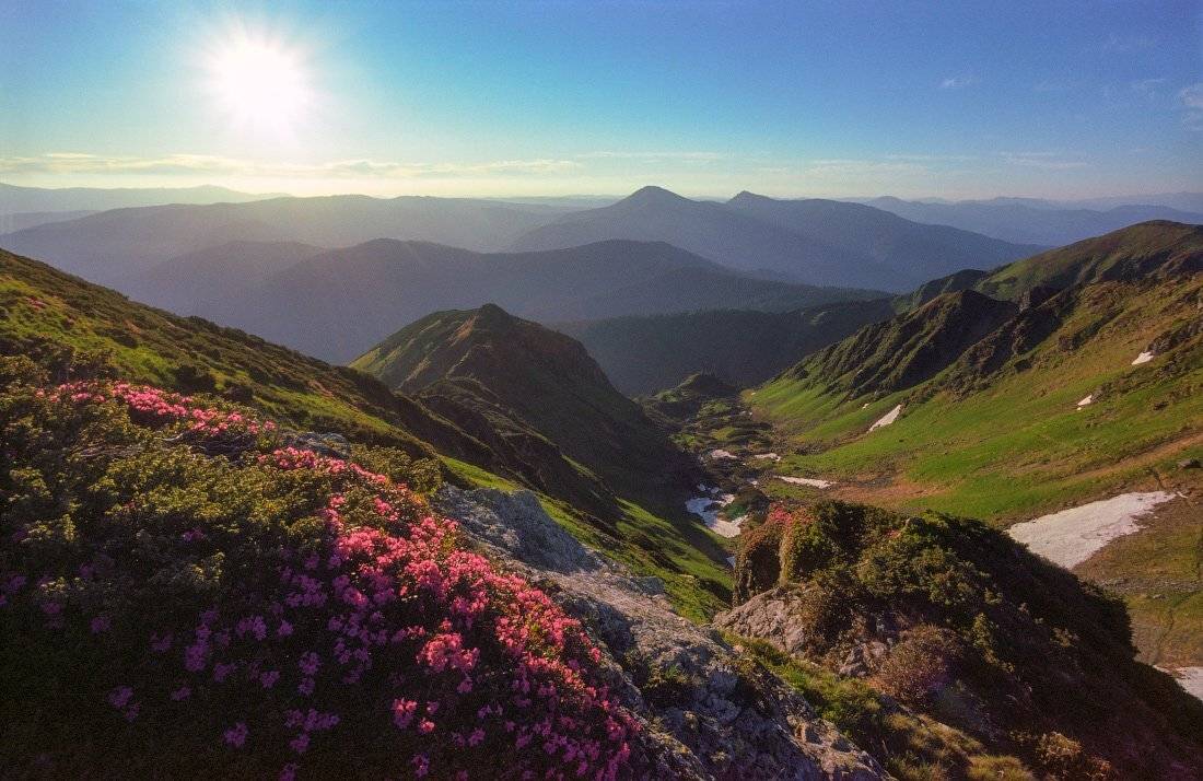 , Ярослав Тюрменко (Jaremi)