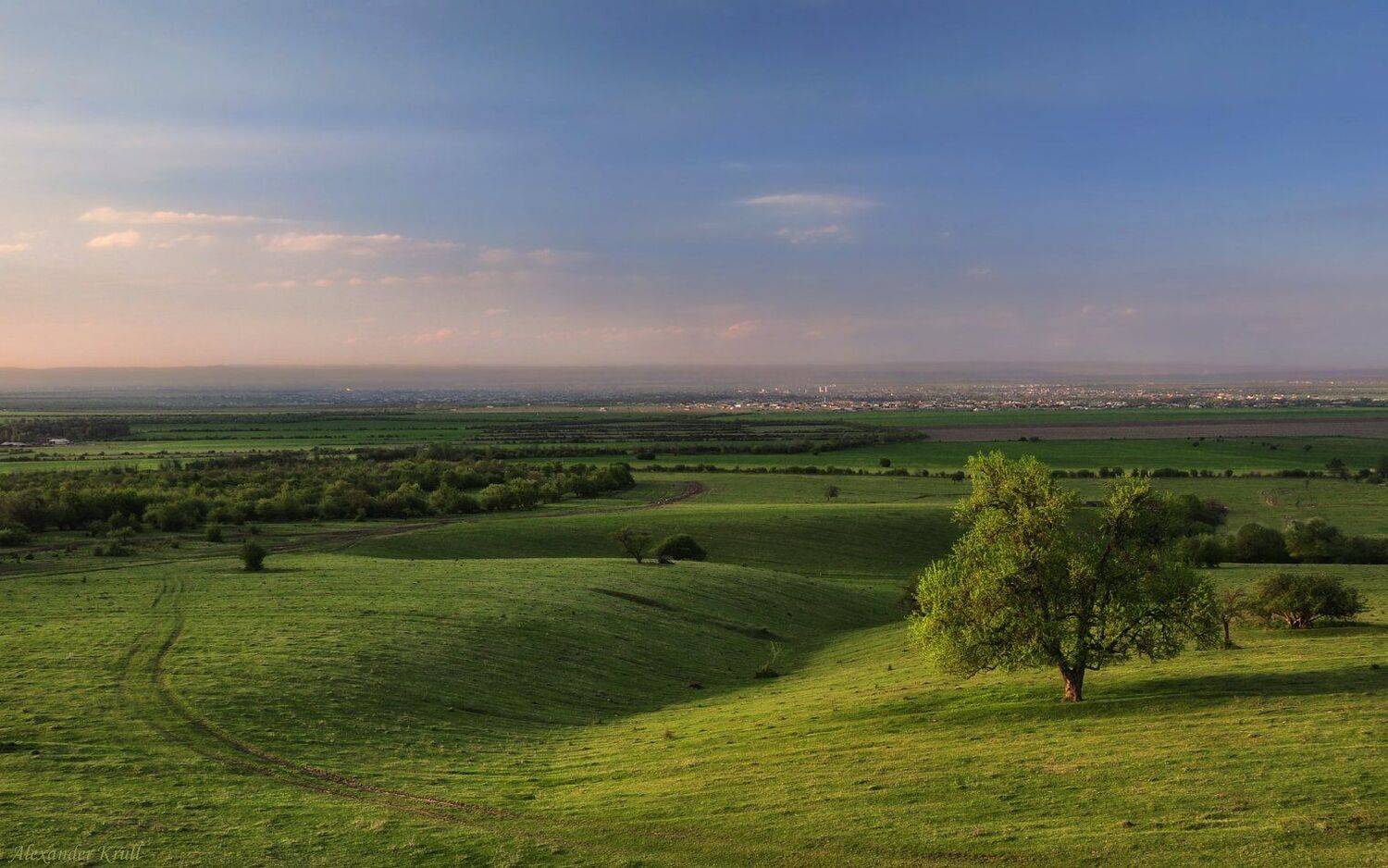 Весна, Чечня, Александр Круль
