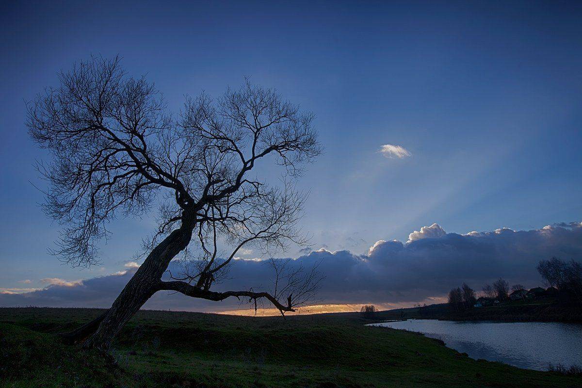 , Валерий Кондратов