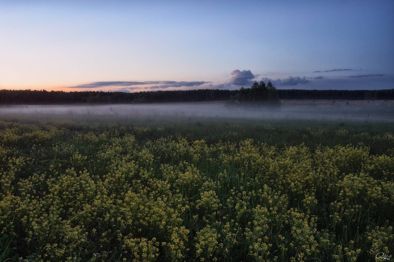 , Александр Кудинов
