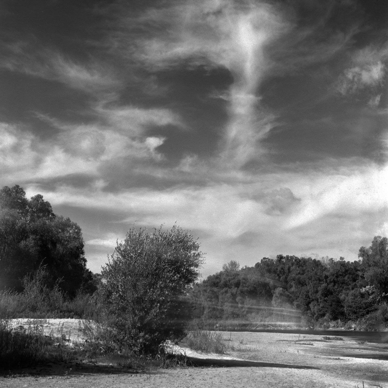 Лес., Пляж., Река., Александр Резников