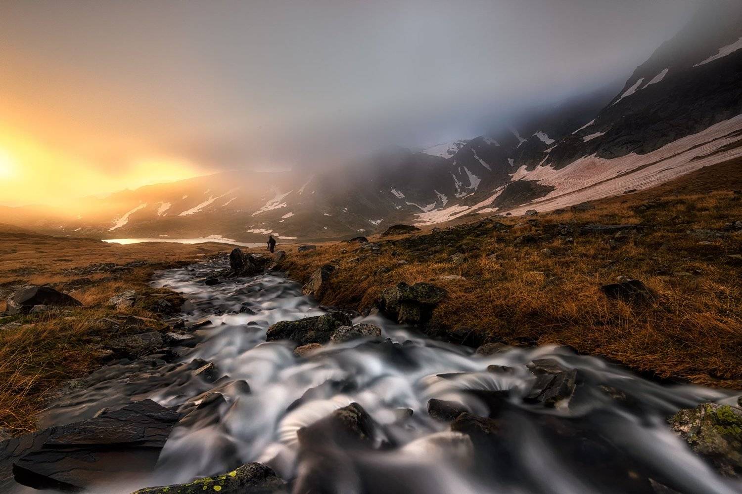 , Весела Маринова