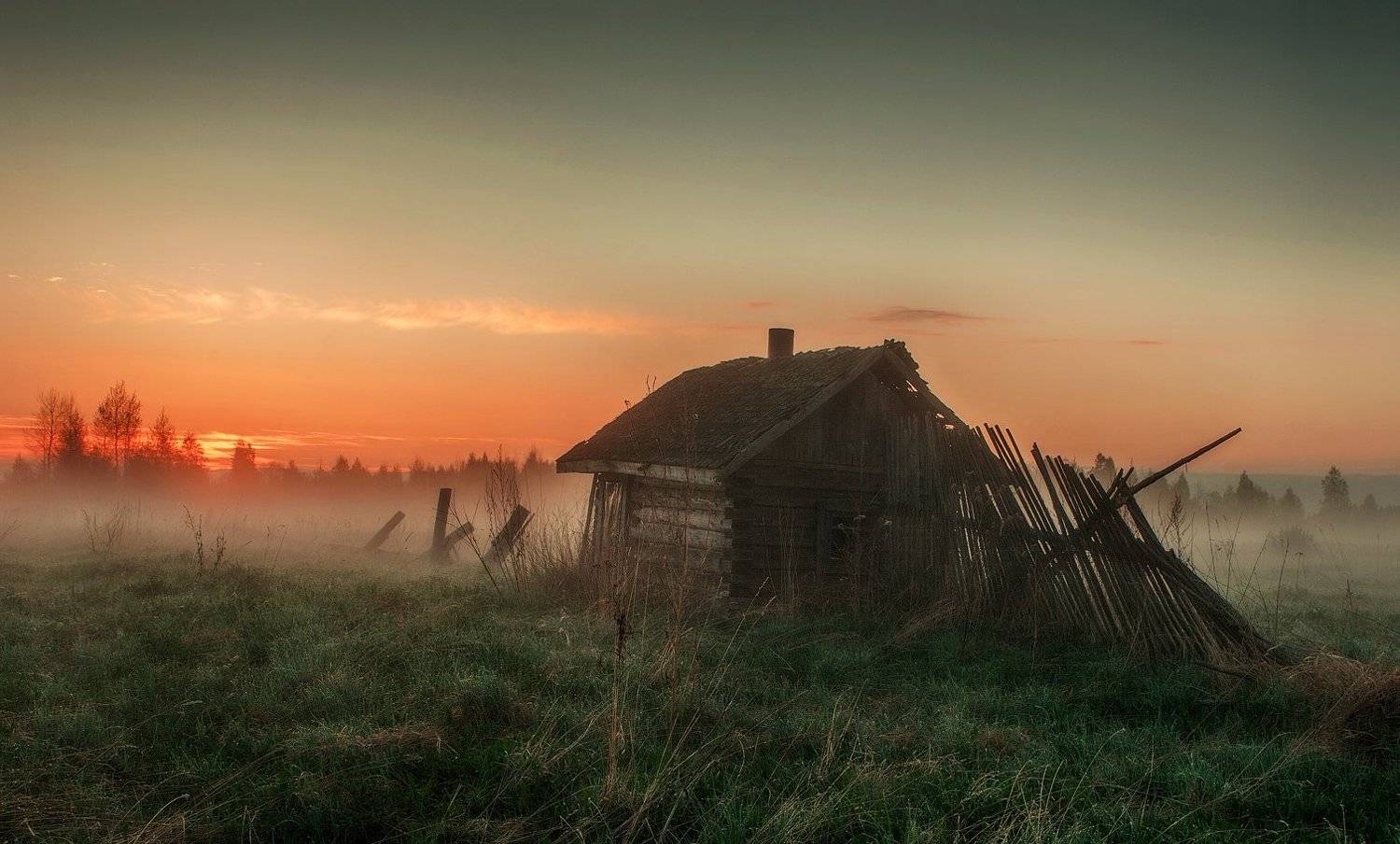 , Владимир Липецких