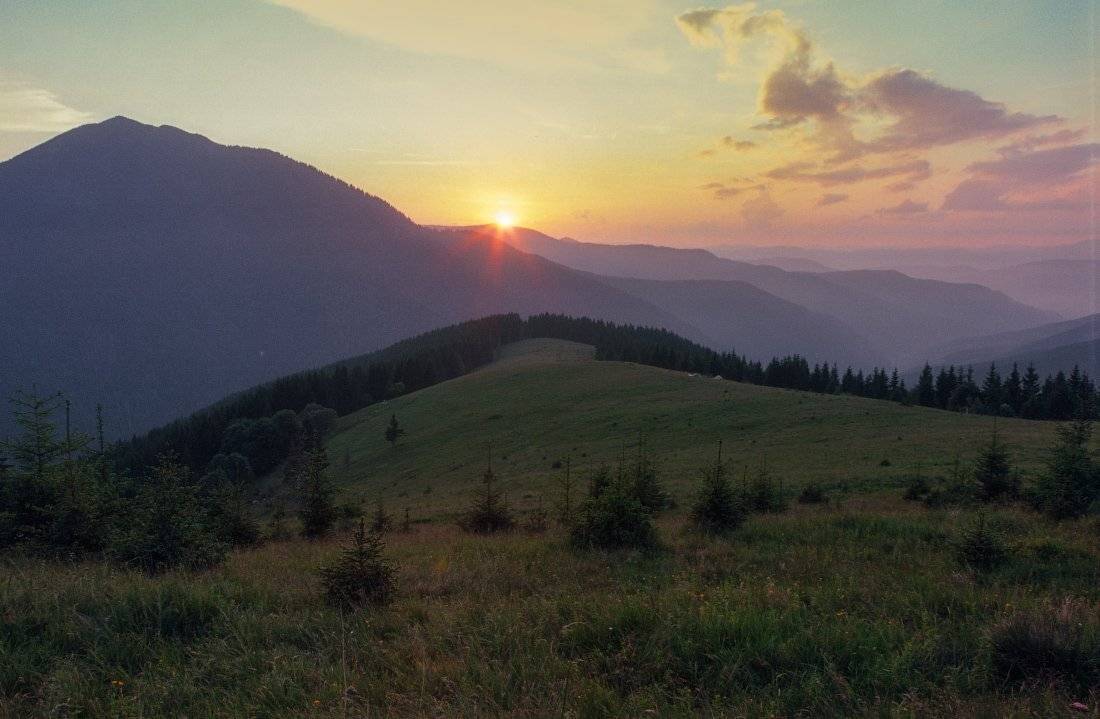 , Ярослав Тюрменко (Jaremi)