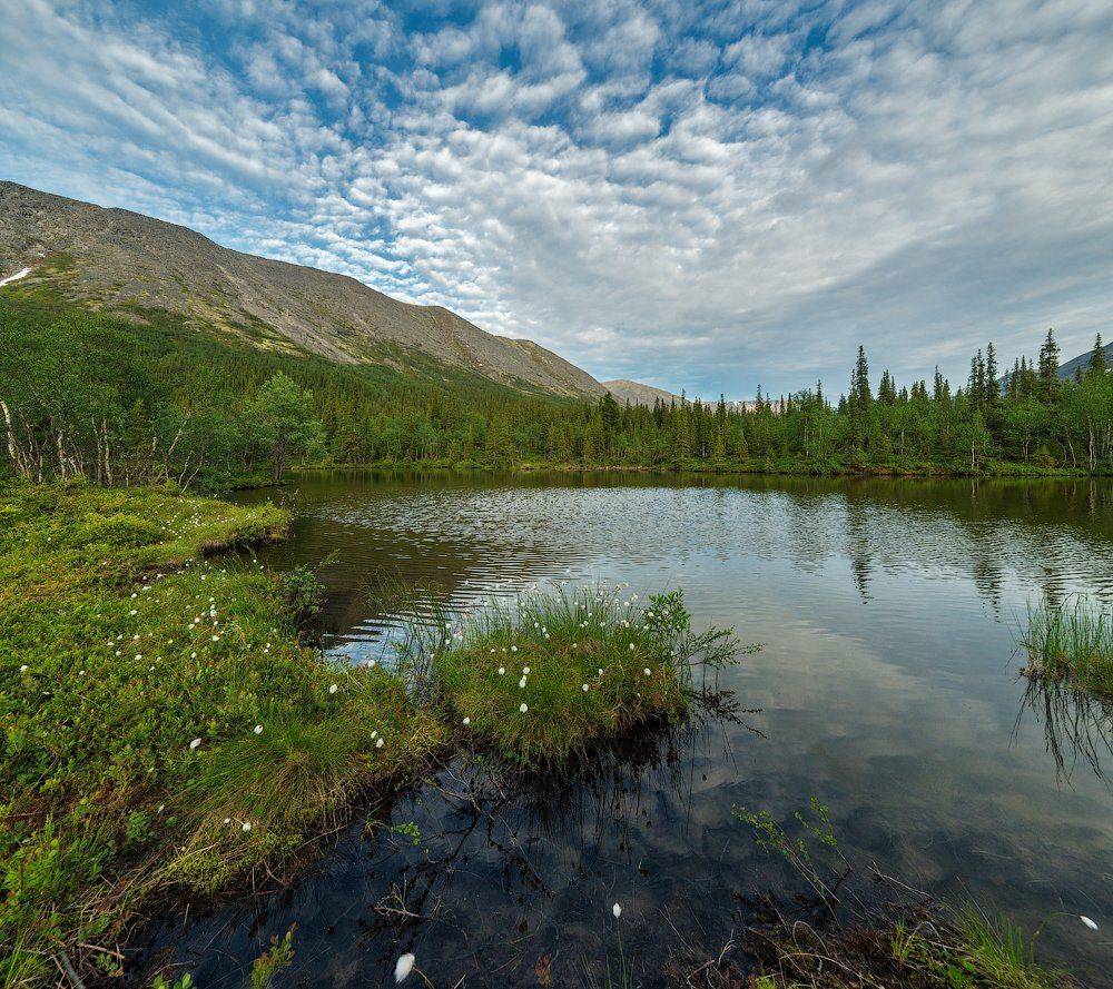 Заполярье, Кльский п-ов, Север, Хибинык, Роман Горячий