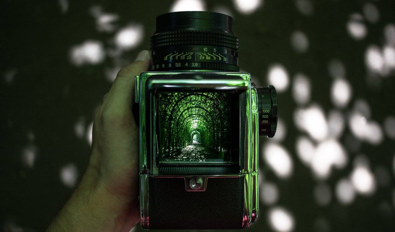 , Aim&eacute; Balaguer