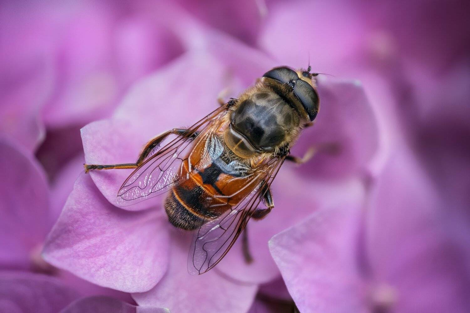 , Эльдар Гуртуев