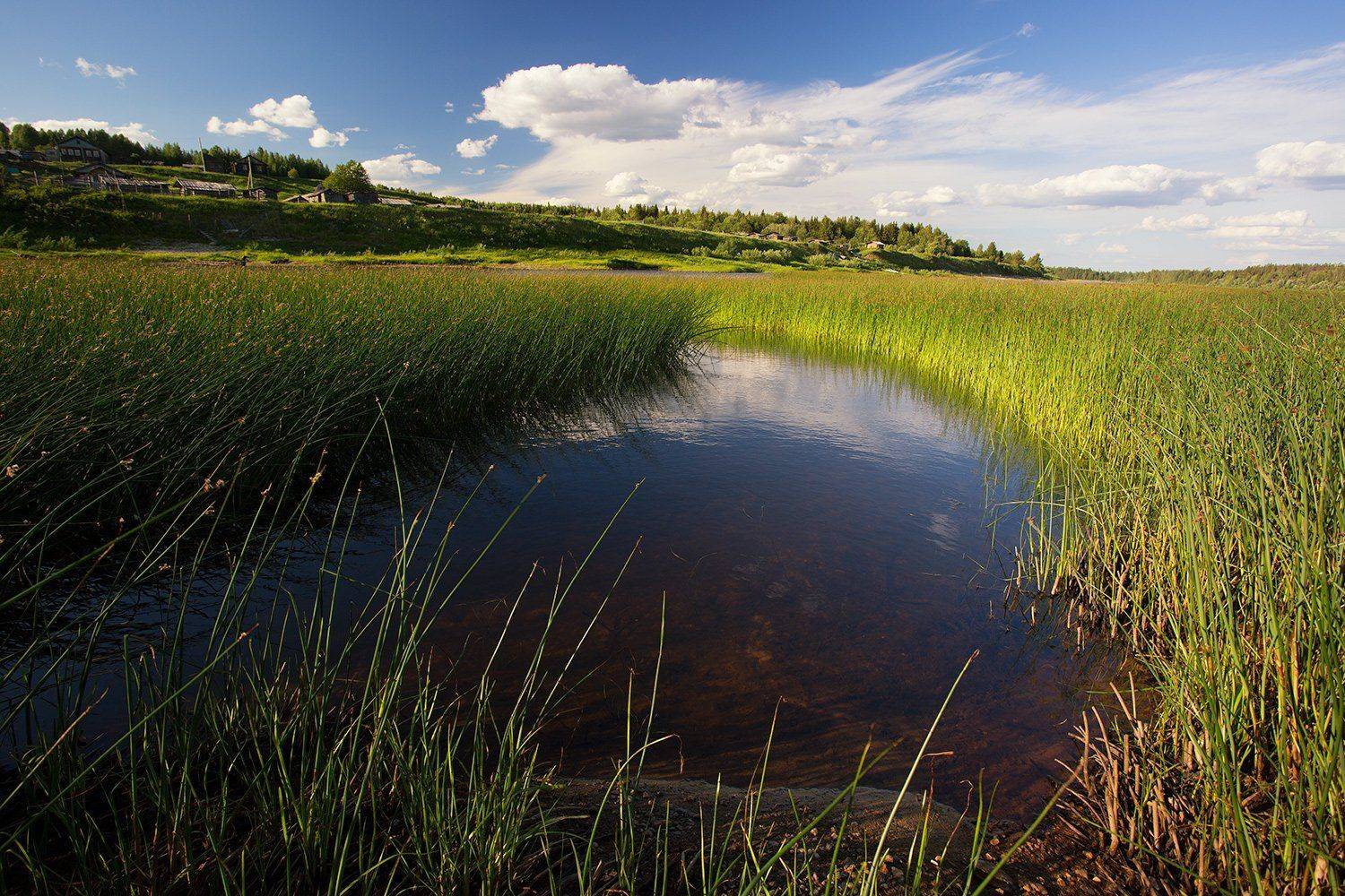 , Поташев Александр