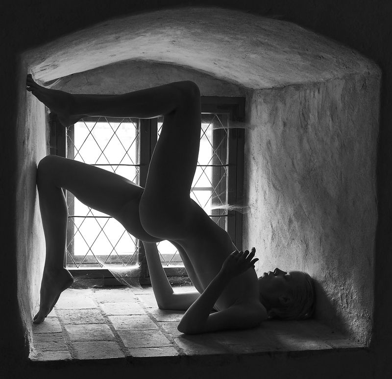 Ню,модель,пластика,грация Пластика фото превью