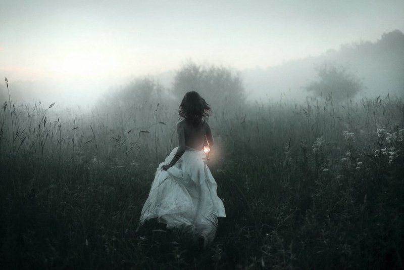 Fog фото превью