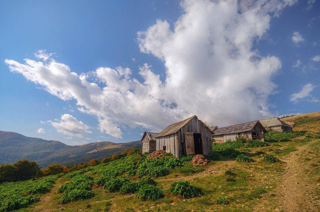 , Ярослав Тюрменко (Jaremi)