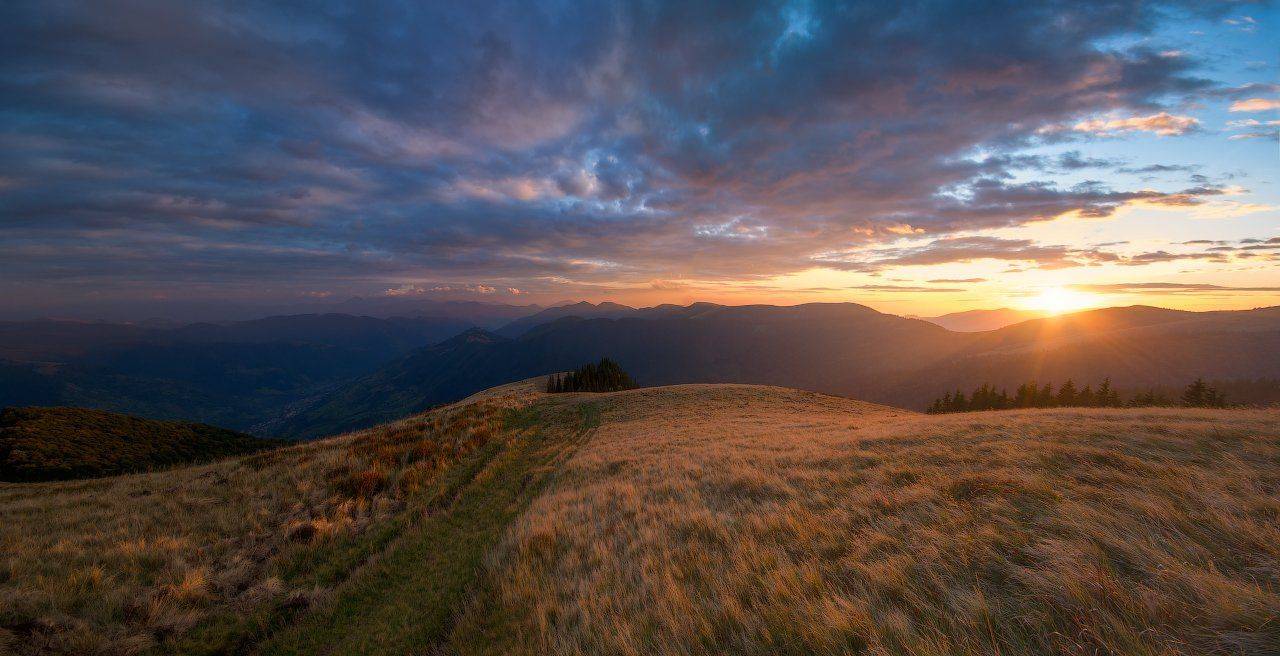 , Ярослав Тюрменко (Jaremi)