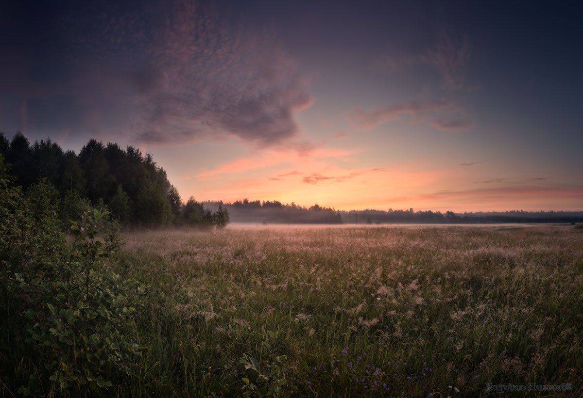 , Хохряков Николай