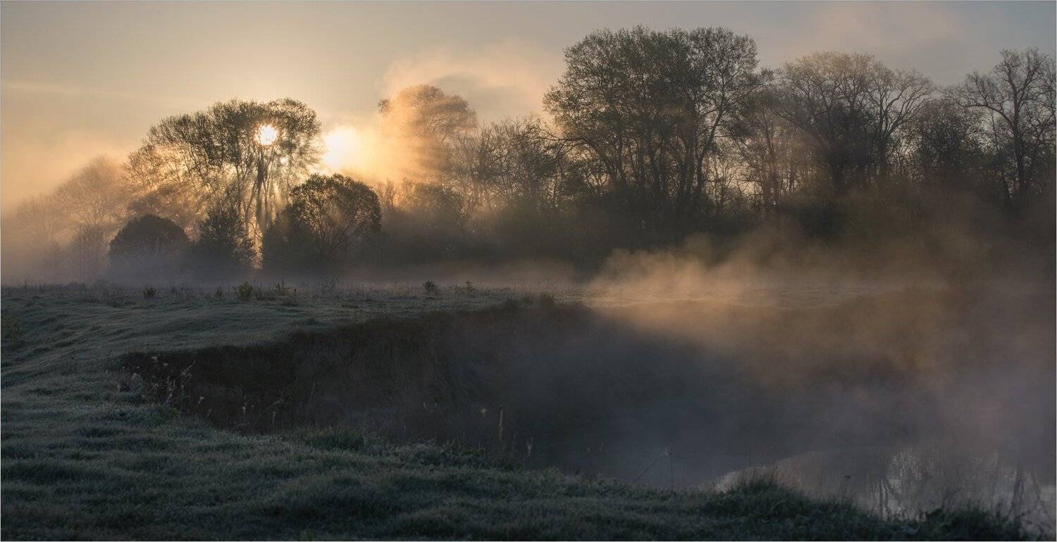 , Николай Шахманцир