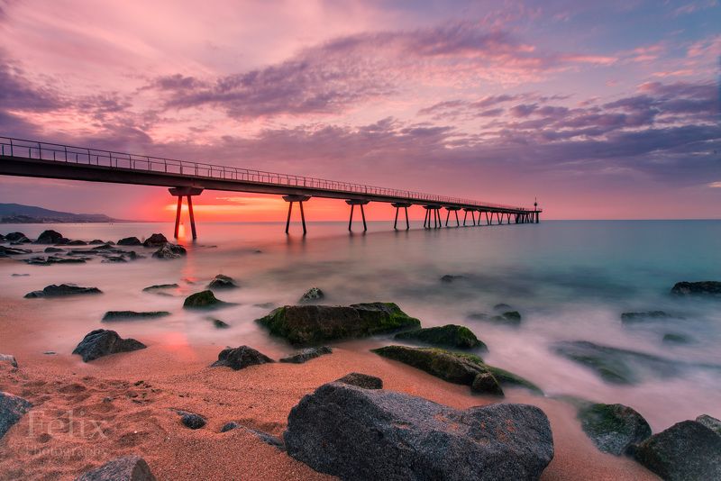 bridge фото превью