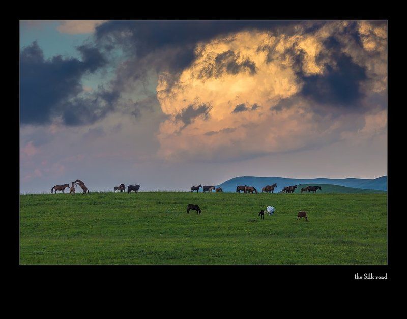 пастораль... про кумыз и баранину фото превью